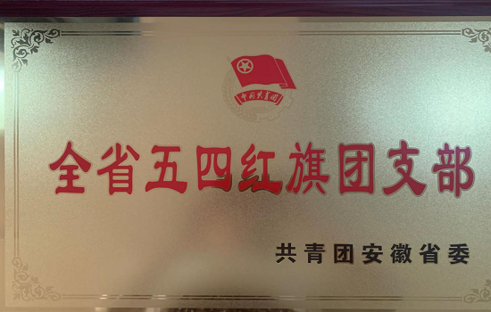 今年会电气信息工程学院2018级通信工程团总支荣获“全省五四红旗团（总）支部”称号